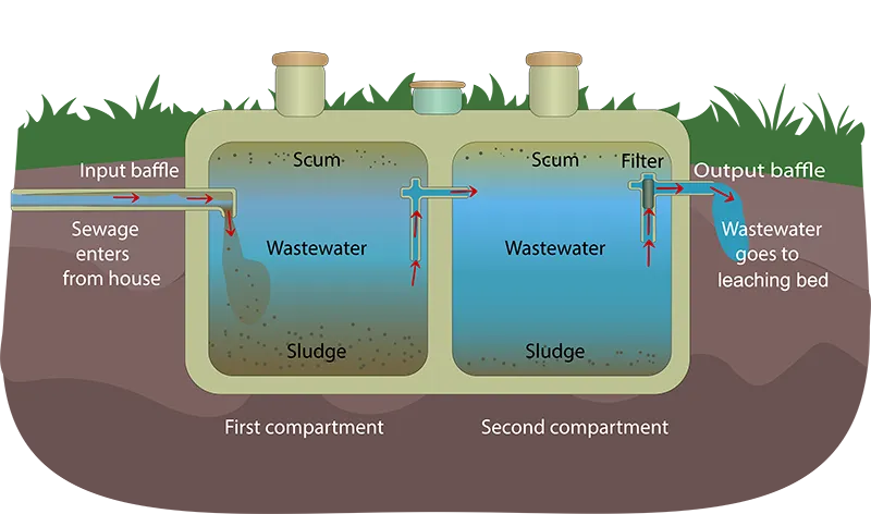 Diagram showing how a septic system works.